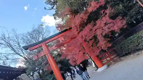 賀茂御祖神社（下鴨神社）(京都府)