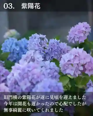 宝光寺(北海道)