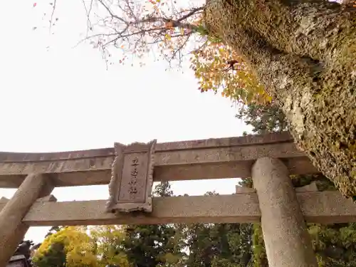 立志神社の鳥居