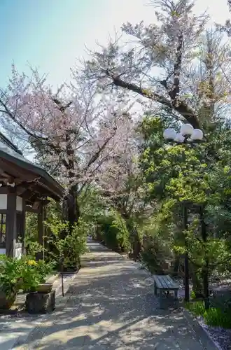 龍峰寺の建物その他