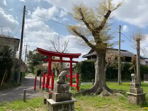 山祇神社の鳥居