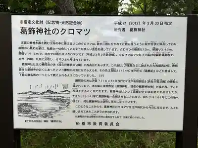 葛飾神社(千葉県)