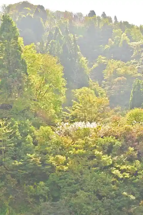 髙龍神社 中社(新潟県)