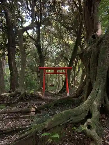 小川神社の鳥居