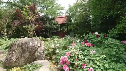 龍真寺の庭園