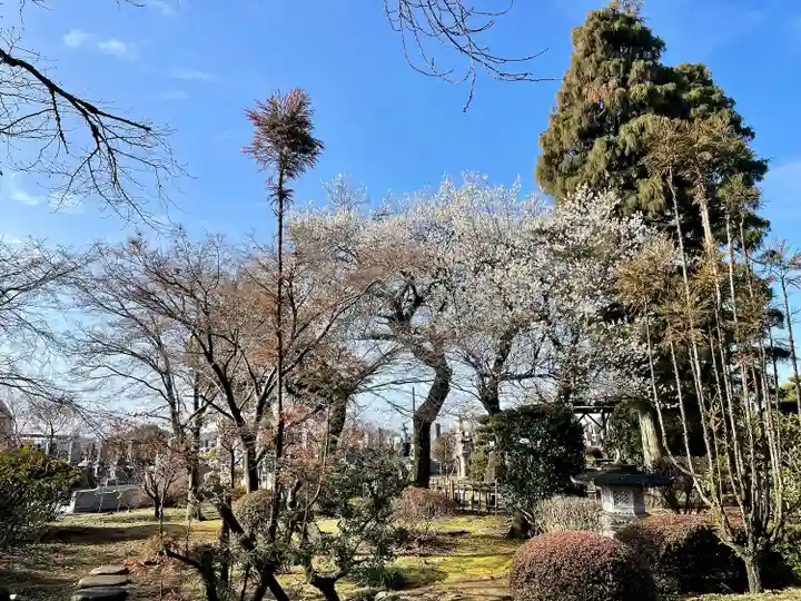 台林寺(栃木県)