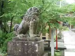 山口八幡宮の狛犬