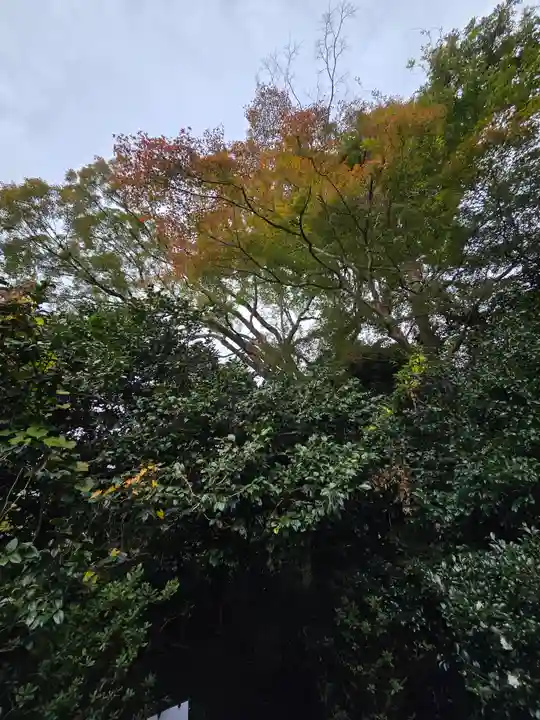 霊鑑寺門跡(京都府)