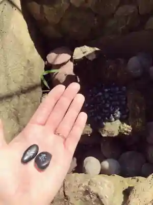 かっぱの寺 栖足寺のその他建物