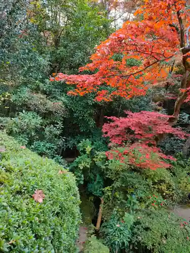 詩仙堂（丈山寺）の庭園