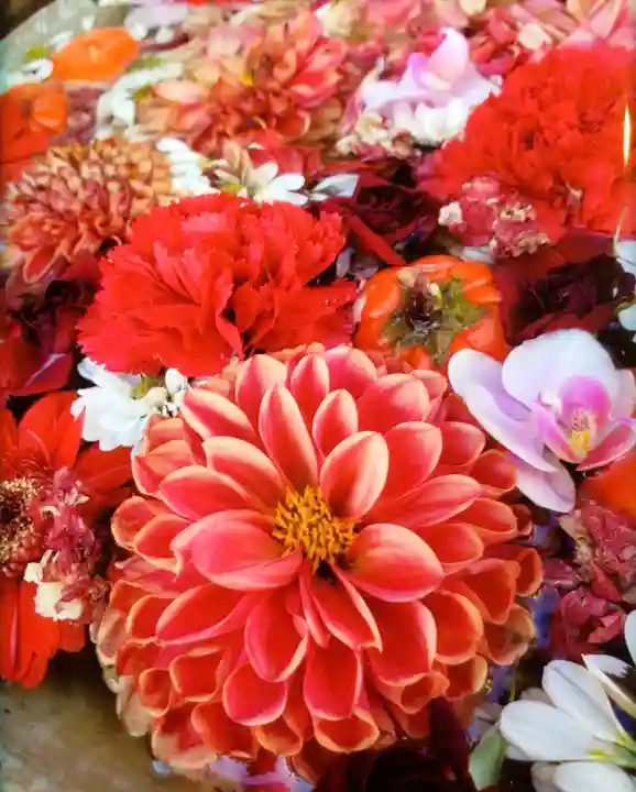 成田山深川不動堂(新勝寺東京別院)(東京都)