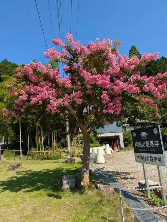 霊泉寺(岐阜県)