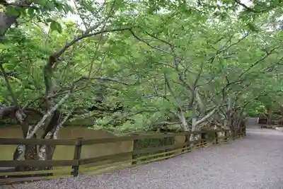 安房神社(千葉県)