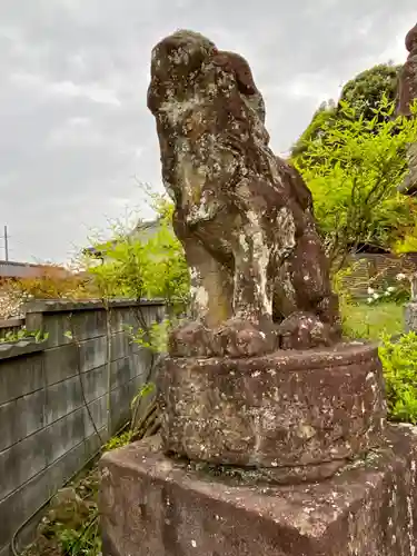 岩室稲荷神社の狛犬