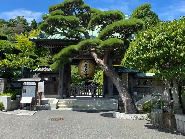 長谷寺(神奈川県)