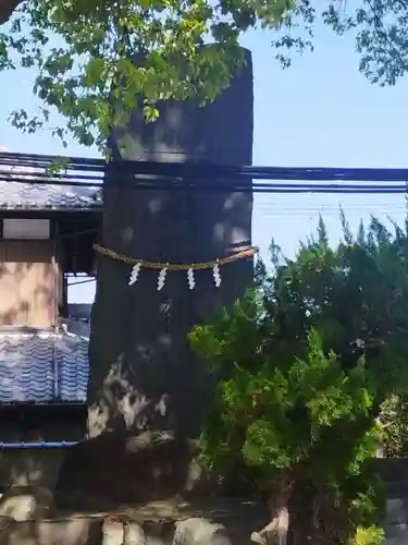 藤森神社(大阪府)