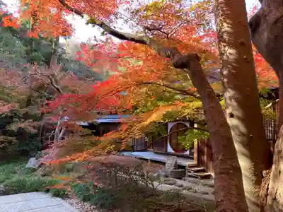 明月院(神奈川県)
