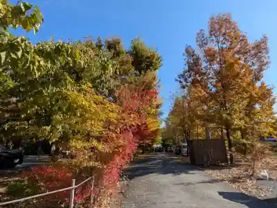 宝登山神社(埼玉県)