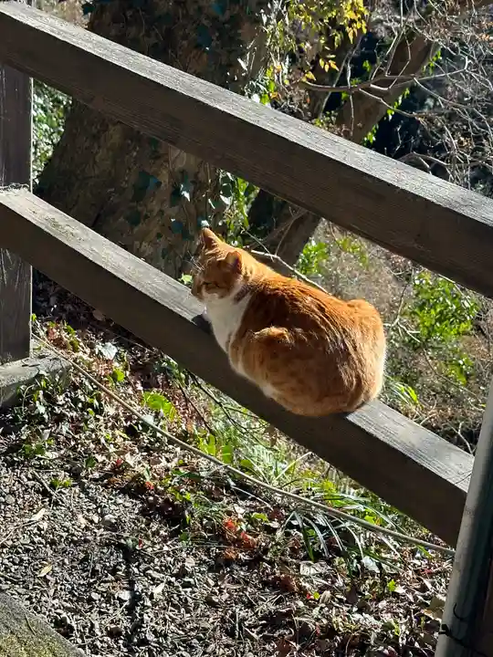 唐澤山神社(栃木県)