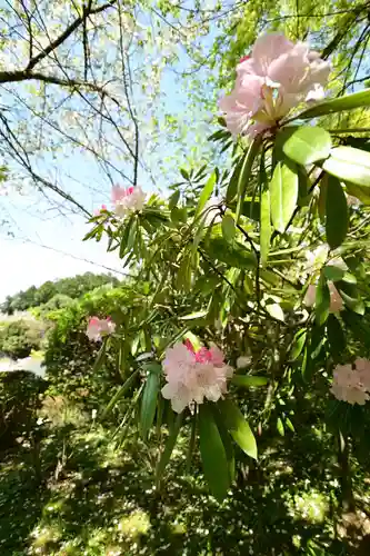 岡寺（龍蓋寺）(奈良県)