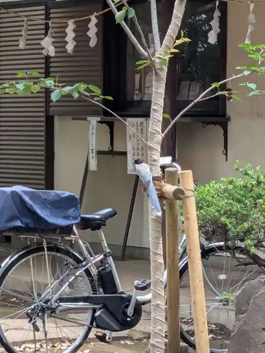 白幡八幡神社(神奈川県)