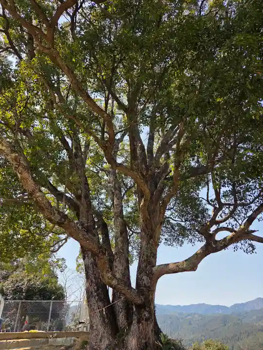サムハラ神社 奥の宮(岡山県)