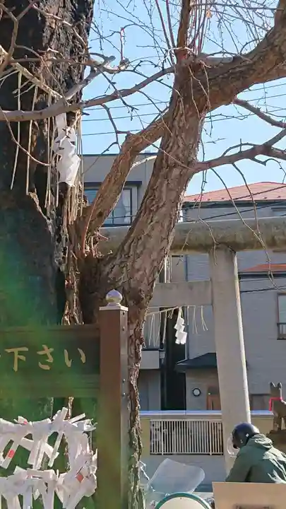 飛木稲荷神社の自然