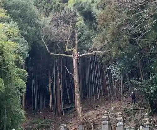 通安寺(福井県)
