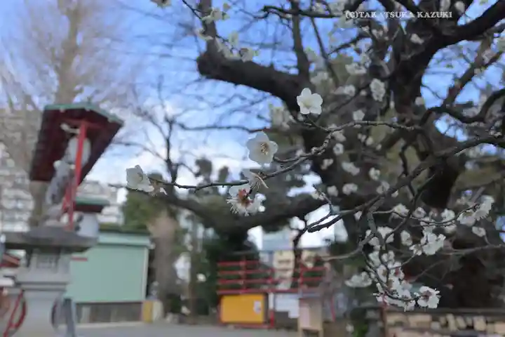 居木神社(東京都)