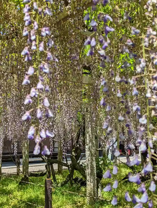 三大神社(滋賀県)