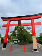 白笹稲荷神社の鳥居