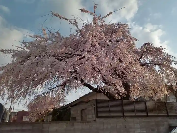 成覚寺(宮城県)