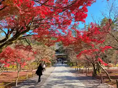 南禅寺(京都府)