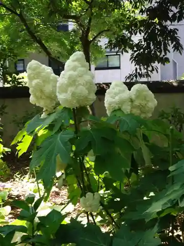 筥崎宮(福岡県)