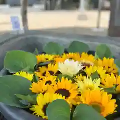 鹿島台神社の手水