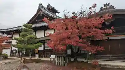 妙満寺(京都府)