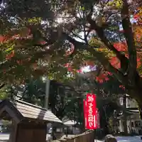 公智神社(兵庫県)