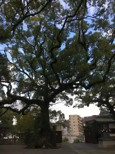 北岡神社の自然