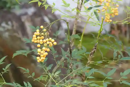 松花堂 泰勝寺(京都府)