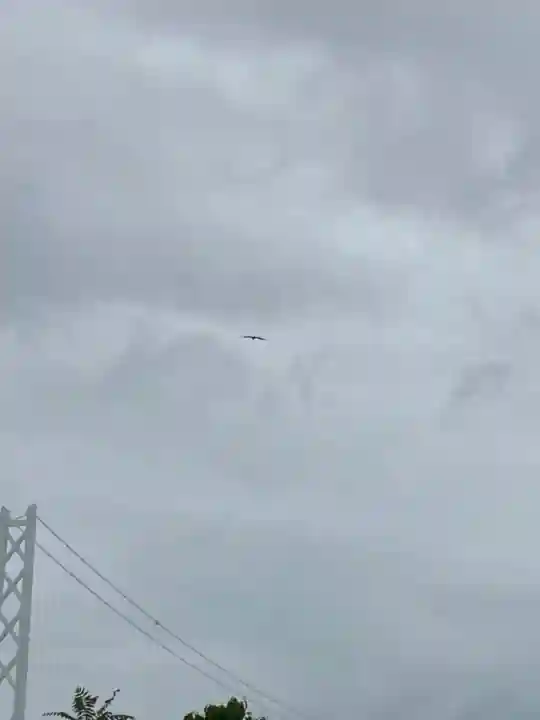 舞子六神社/まいこむの宮(兵庫県)