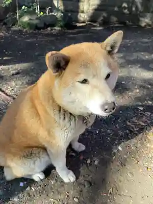 笠䅣稲荷神社(神奈川県)