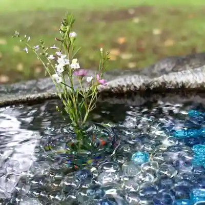 帯廣神社の手水舎