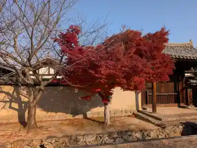 法隆寺 夢殿(奈良県)