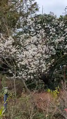勝林寺(京都府)