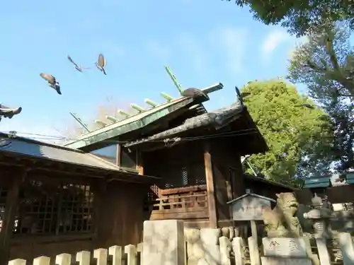 羊神社の本殿・本堂