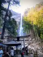 飛瀧神社(熊野那智大社別宮)の{uncategorized: "未分類", other: "その他", undefined: "問題あり", building: "その他建物", grave: "お墓", sacred_gate: "鳥居", guardian: "狛犬", statue: "像", buddha: "仏像", history: "歴史", nature: "自然", garden: "庭園", animal: "動物", pagoda: "塔", temizu: "手水舎", mountain_gate: "山門・神門", sanctuary: "本殿・本堂", subordinate: "末社・摂社", art: "芸術", scenery: "景色", jizo: "地蔵", ema: "絵馬", goshuin: "御朱印", omikuji: "おみくじ", items: "授与品その他", amulet: "お守り", goshuincho: "御朱印帳", eats: "食事", festival: "お祭り", votive_dance: "神楽", shichigosan: "七五三参", wedding: "結婚式", experience: "体験その他", initially: "初詣", around: "周辺", anti_infection: "感染症対策"}
