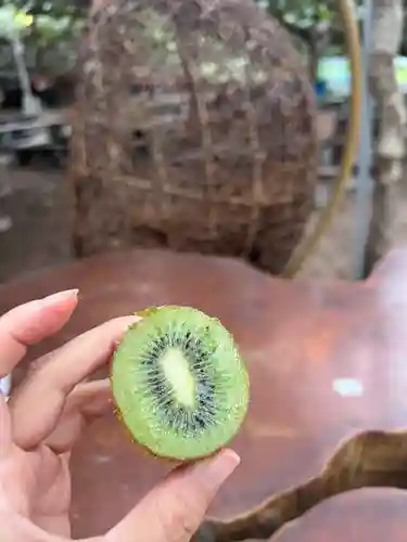 事任八幡宮(静岡県)