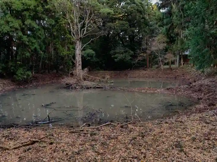 丸郷神社の自然