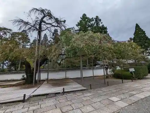 三宝院（三宝院門跡）(京都府)