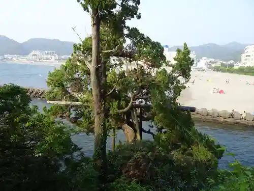 森戸大明神（森戸神社）の自然